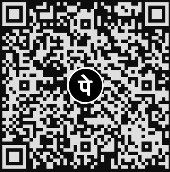 PhonePe QR code to support DaySavvy